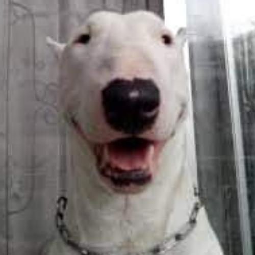 สมาชิกหมายเลข 5270543