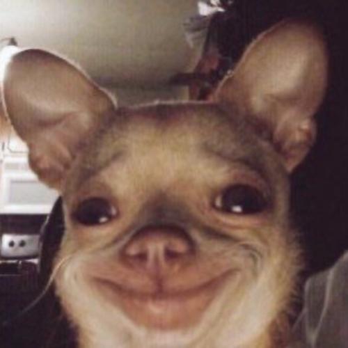 สมาชิกหมายเลข 5370442