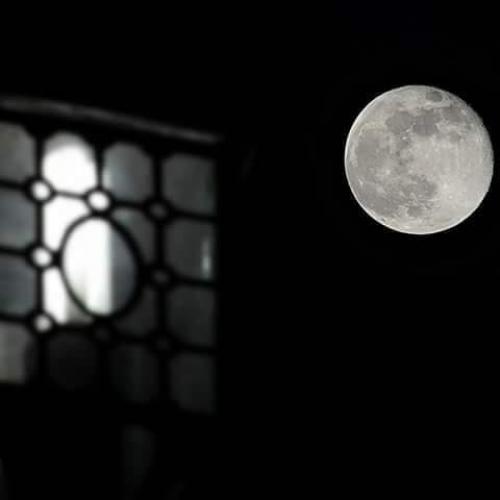 สมาชิกหมายเลข 1829126