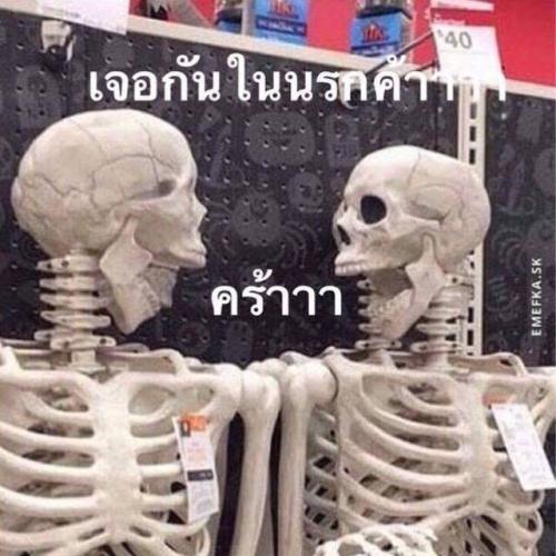 สมาชิกหมายเลข 1626817