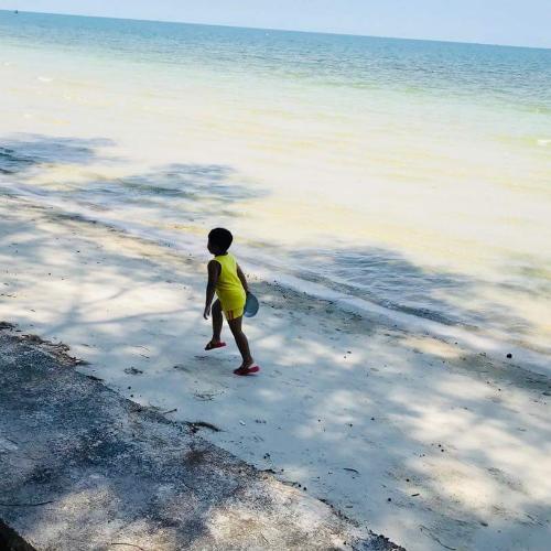 สมาชิกหมายเลข 4566496