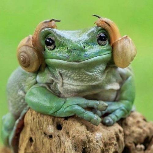 สมาชิกหมายเลข 3174047