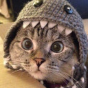 สมาชิกหมายเลข 4907829