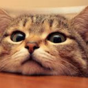 สมาชิกหมายเลข 5305837