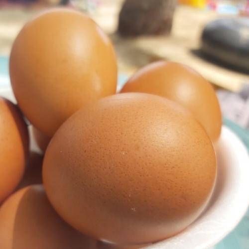 สมาชิกหมายเลข 5763474