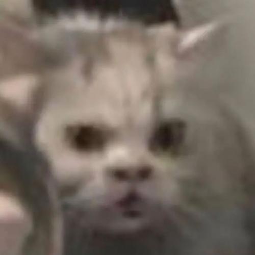 สมาชิกหมายเลข 7042383