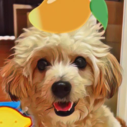 สมาชิกหมายเลข 7812203