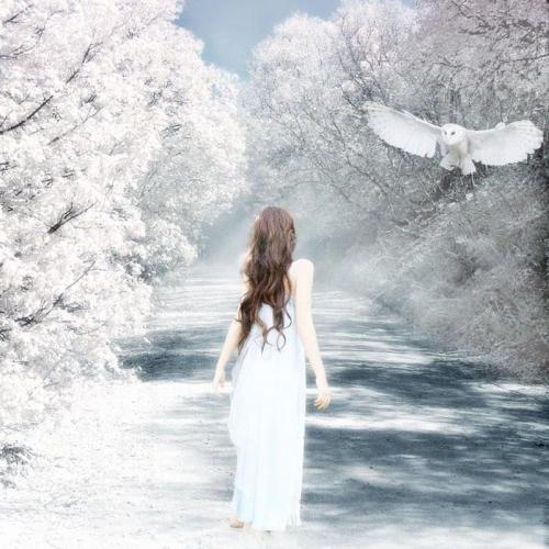 สมาชิกหมายเลข 7812240