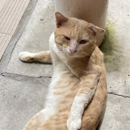 สมาชิกหมายเลข 5130749