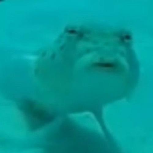 สมาชิกหมายเลข 7053276