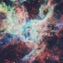 สมาชิกหมายเลข 3688429