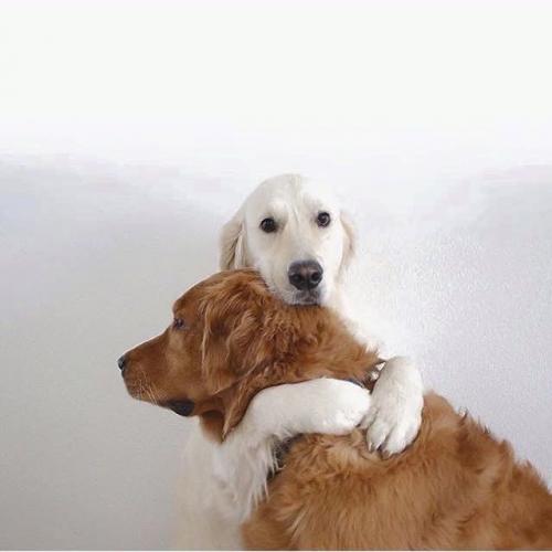 สมาชิกหมายเลข 3325926