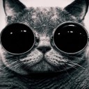 สมาชิกหมายเลข 3689458