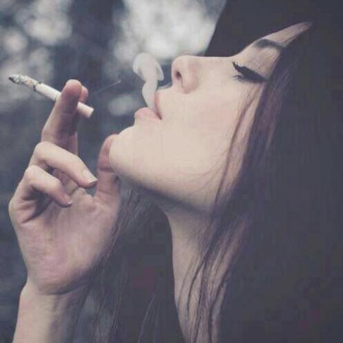 สมาชิกหมายเลข 3923017