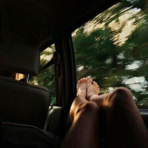 สมาชิกหมายเลข 4566701