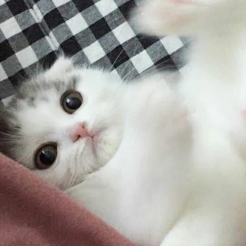 สมาชิกหมายเลข 4884894