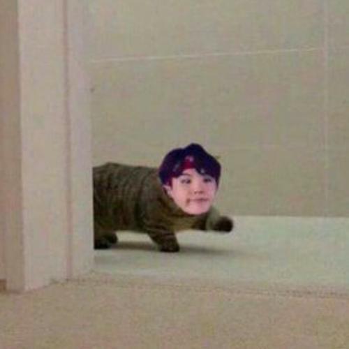 สมาชิกหมายเลข 5306300