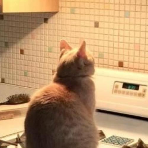 สมาชิกหมายเลข 6975136