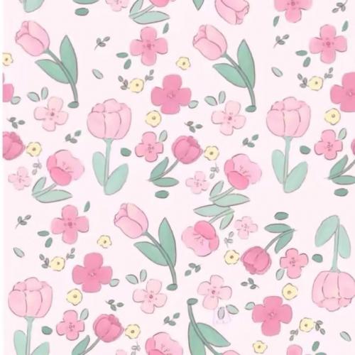 สมาชิกหมายเลข 7042219