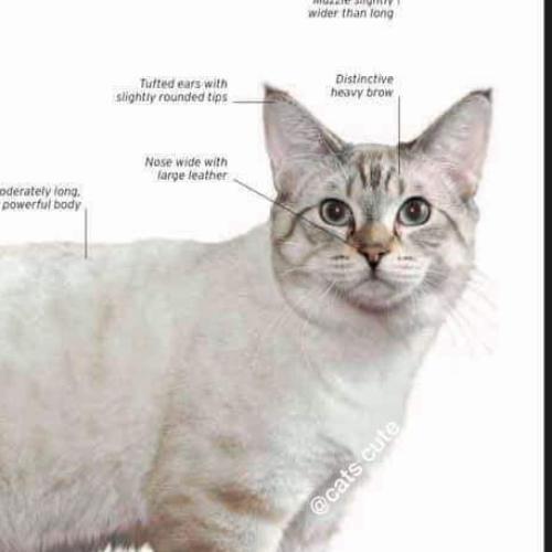 สมาชิกหมายเลข 1449404