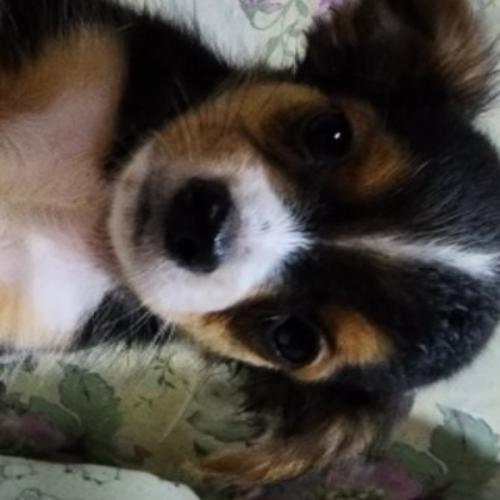 สมาชิกหมายเลข 1879936