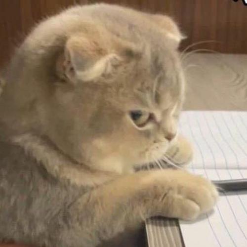 สมาชิกหมายเลข 5230620