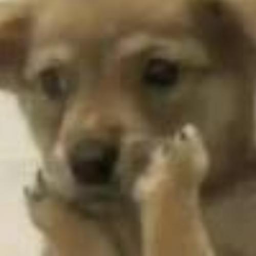 สมาชิกหมายเลข 7072385