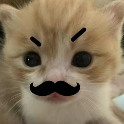 สมาชิกหมายเลข 8168590