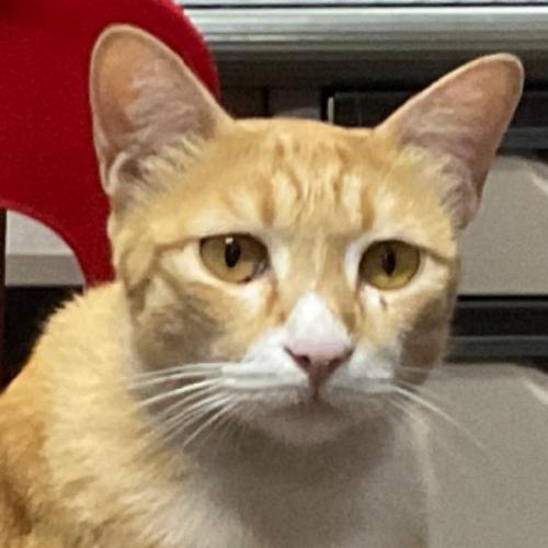 สมาชิกหมายเลข 8786843