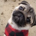 แค่ เด็กขี้สงสัย