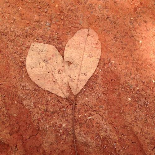 สมาชิกหมายเลข 3863504