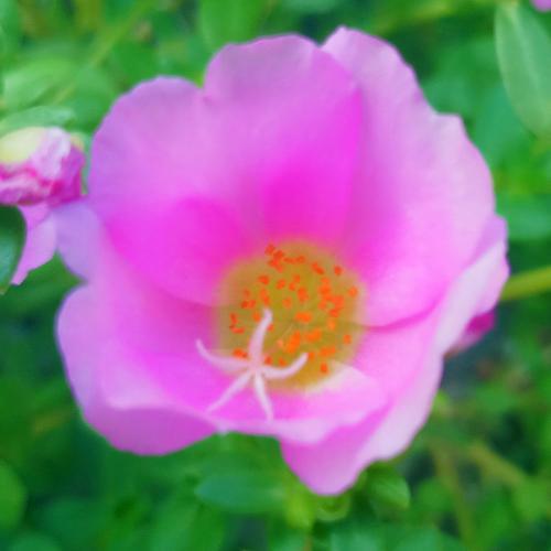 สมาชิกหมายเลข 3430494