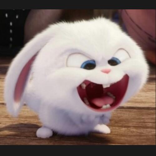 สมาชิกหมายเลข 4732939