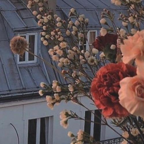 สมาชิกหมายเลข 5764348