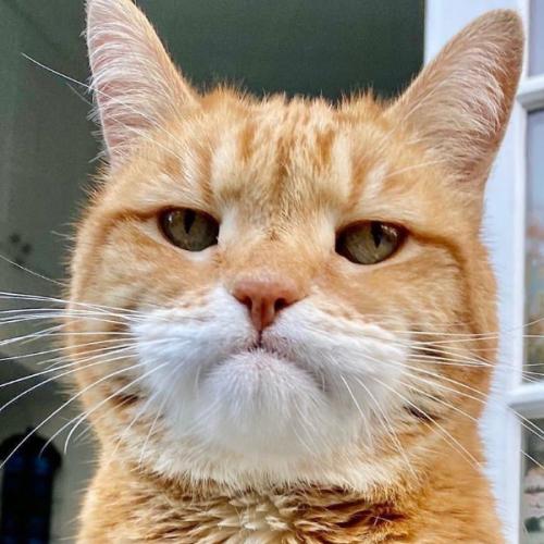 สมาชิกหมายเลข 5764481