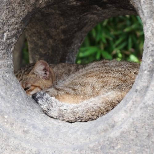 สมาชิกหมายเลข 1272996