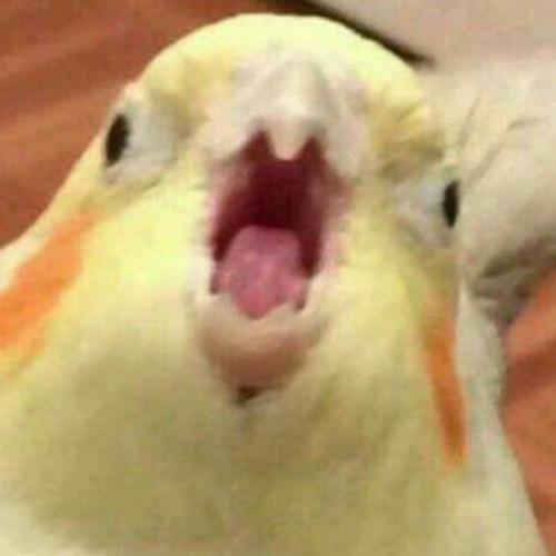 สมาชิกหมายเลข 4221275