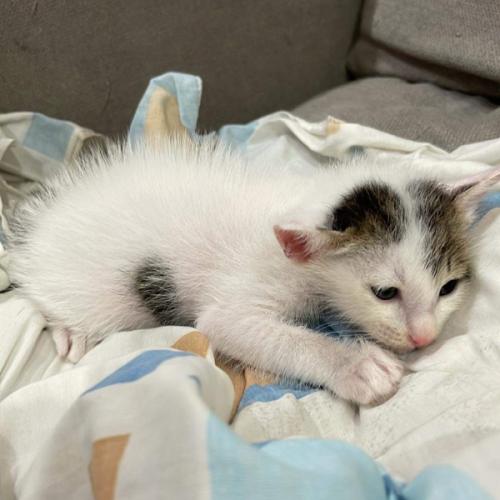 สมาชิกหมายเลข 7043395