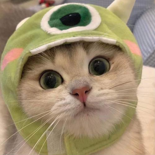 สมาชิกหมายเลข 1246413