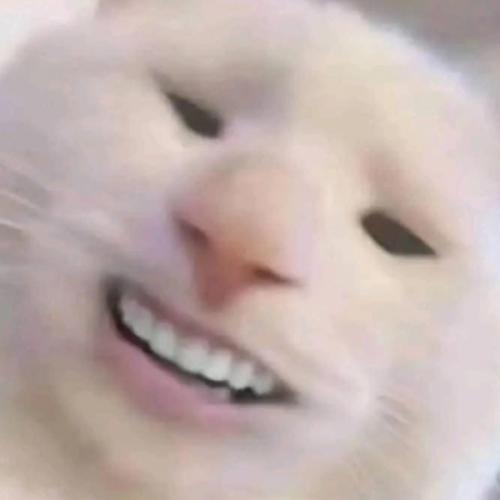 สมาชิกหมายเลข 4868142