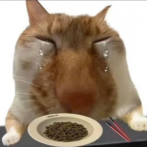 สมาชิกหมายเลข 8788334