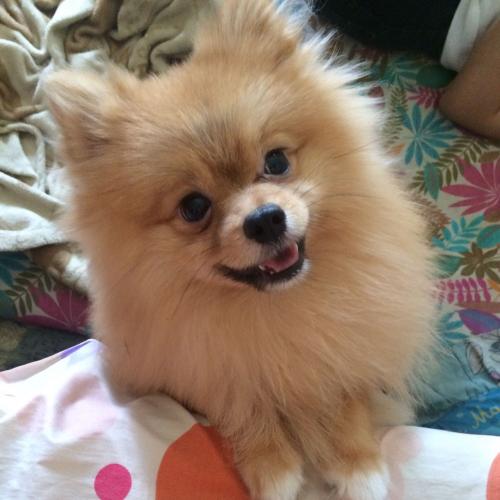 สมาชิกหมายเลข 2591073