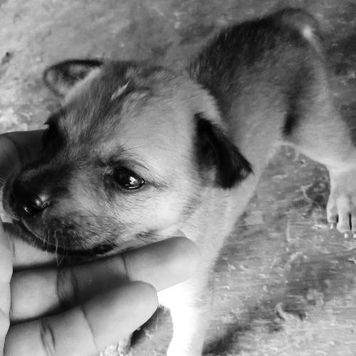 สมาชิกหมายเลข 3339010