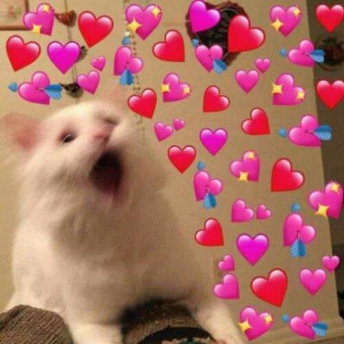 สมาชิกหมายเลข 5350758