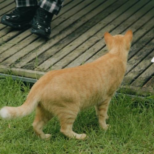 สมาชิกหมายเลข 3789298