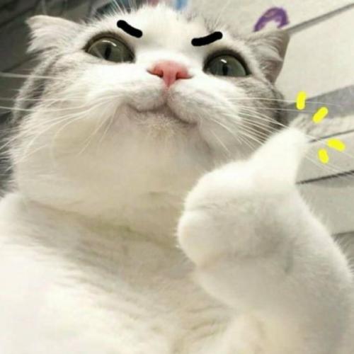 สมาชิกหมายเลข 6785942