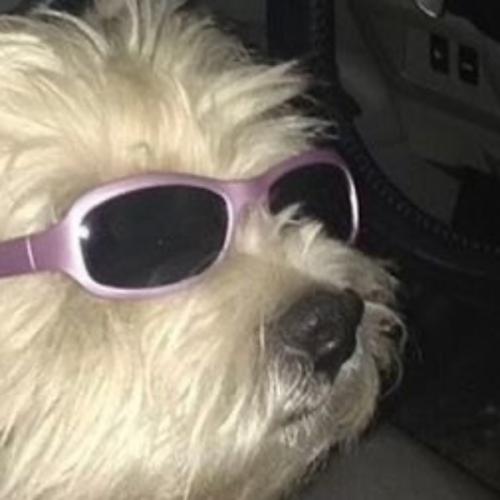 สมาชิกหมายเลข 5471326