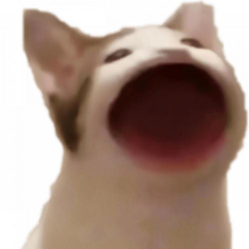 สมาชิกหมายเลข 5495835