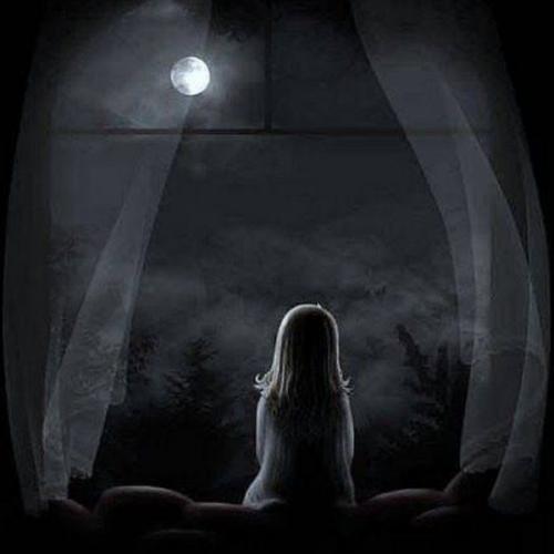 สมาชิกหมายเลข 8788712