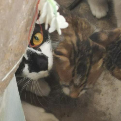 สมาชิกหมายเลข 8789806